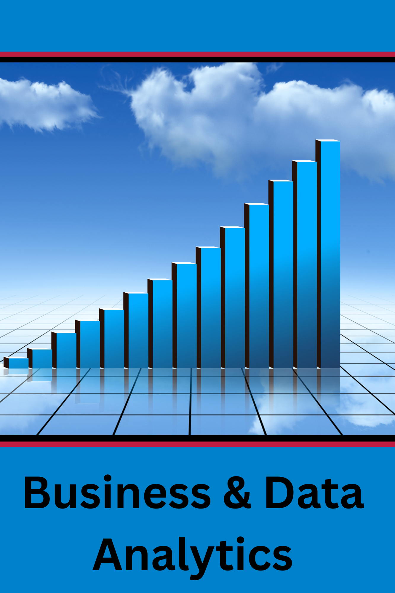 Business & Data Analytics
