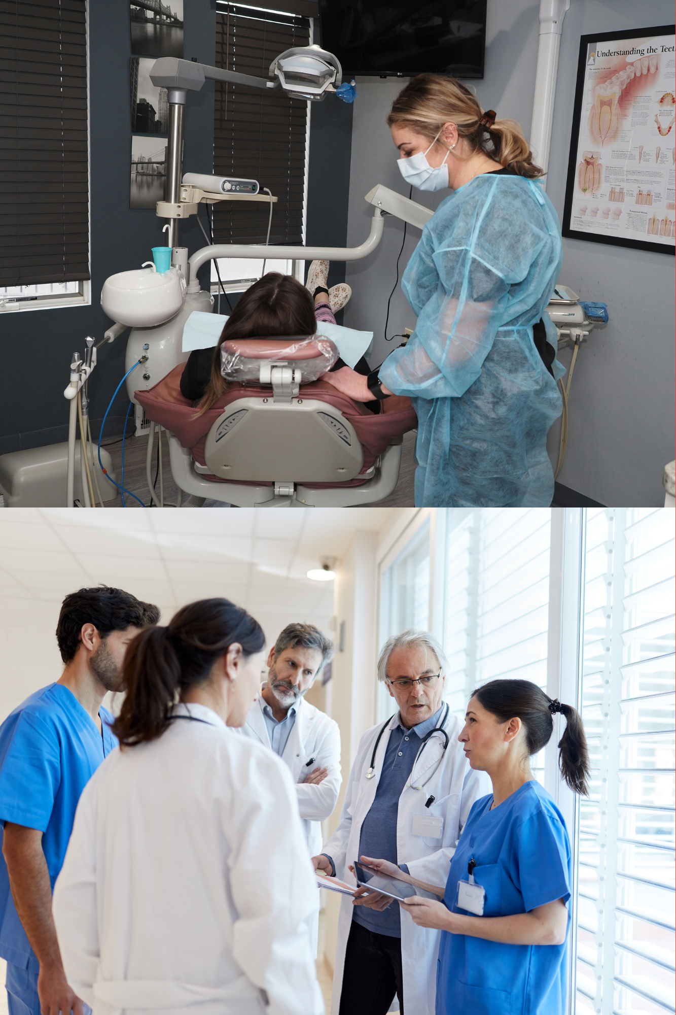 HCR 220 Introduction to Health Professions and the U.S. Health Care System