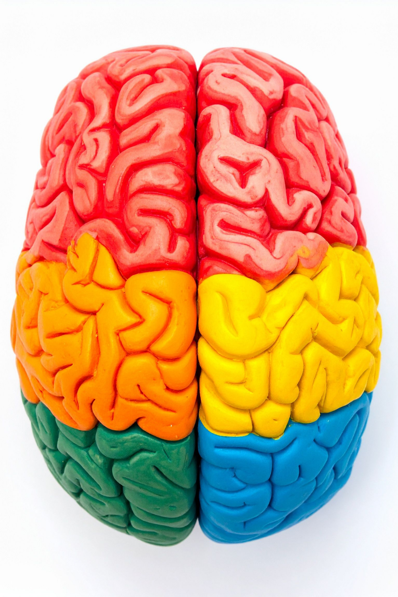 PSY 101 Introduction to Psychology