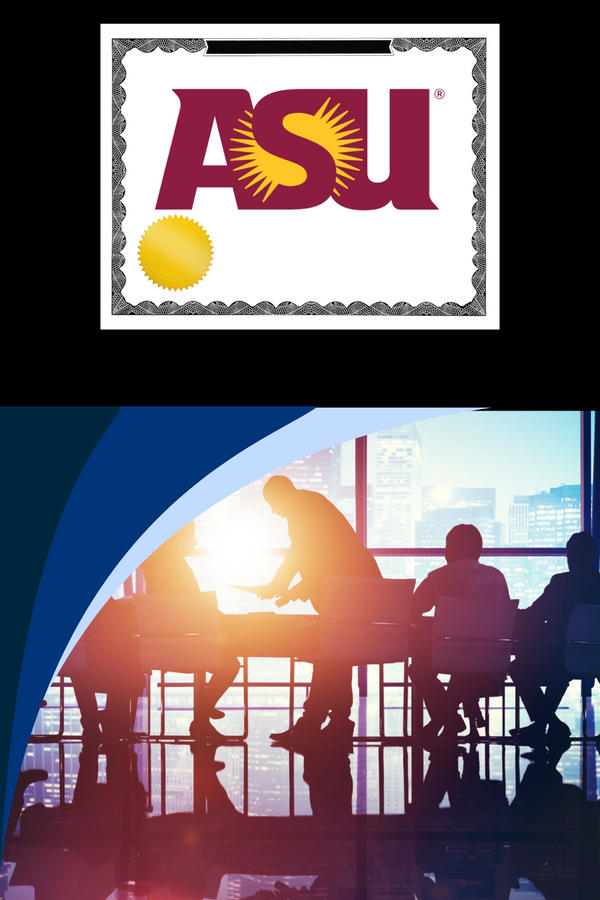 CIS 309 Business Process Management (ABDA 3)