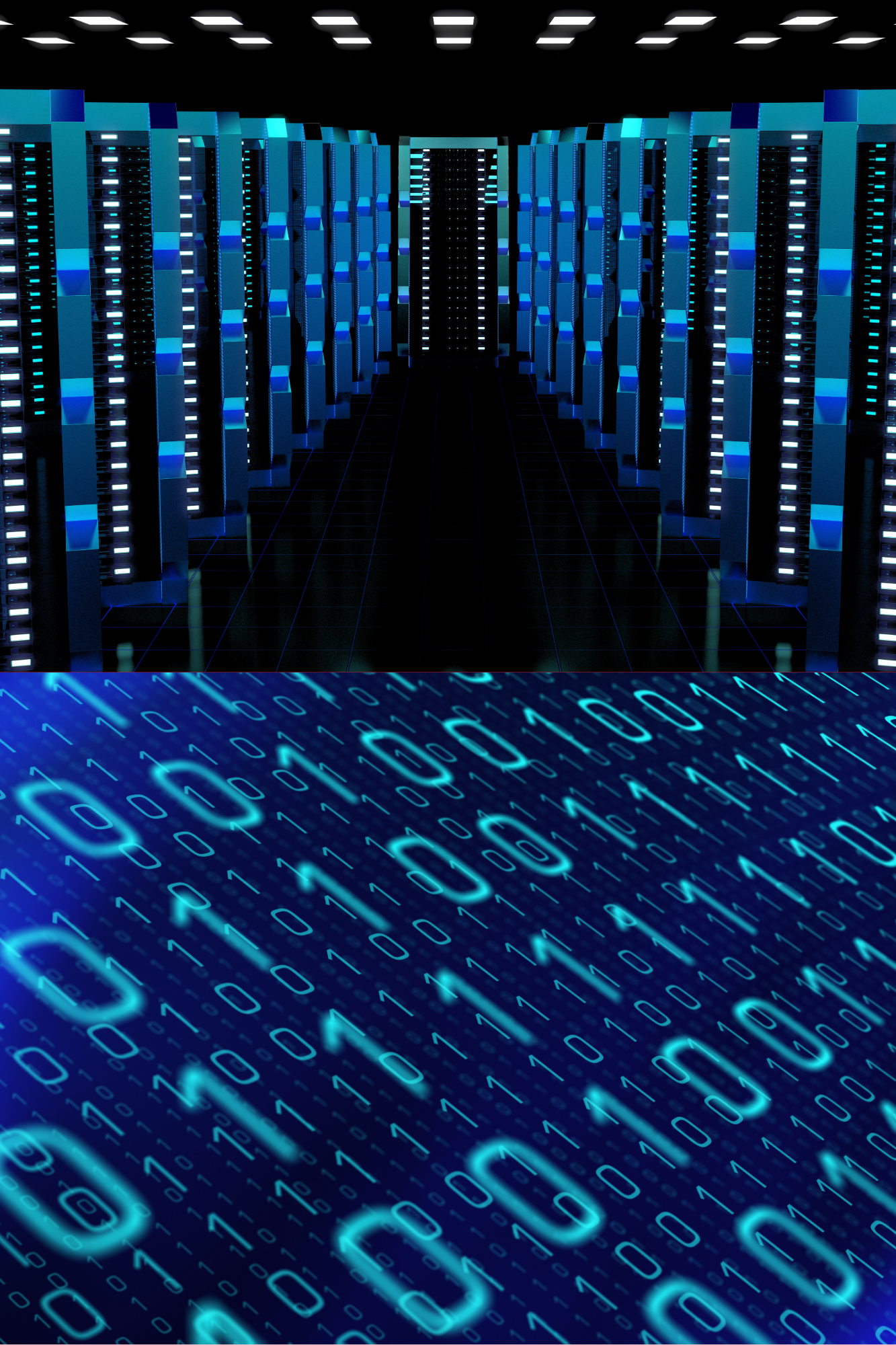 CSE 110 Principles of Programming