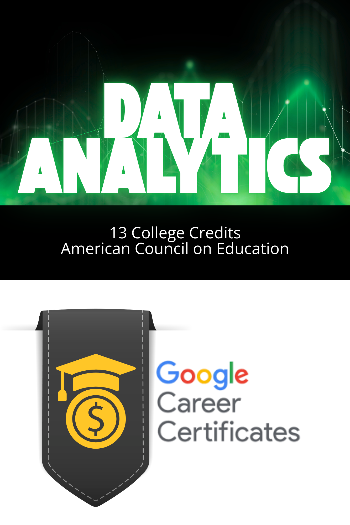 DATA 101 Data Analytics (Google)