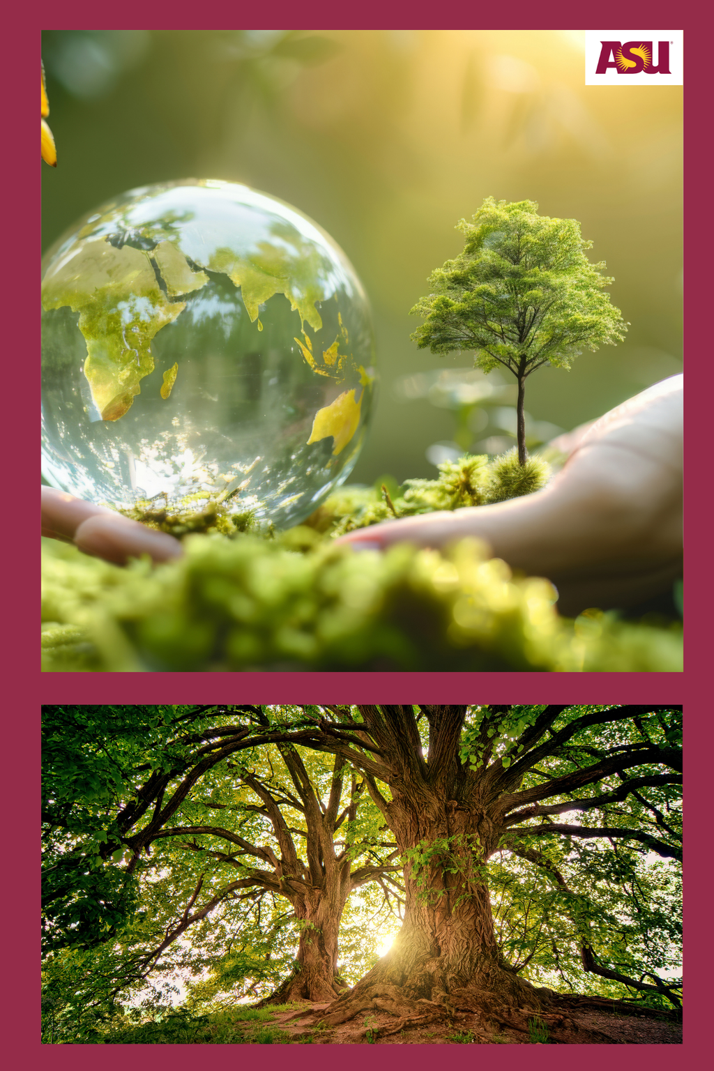 BIO 100  Biology: The Living World