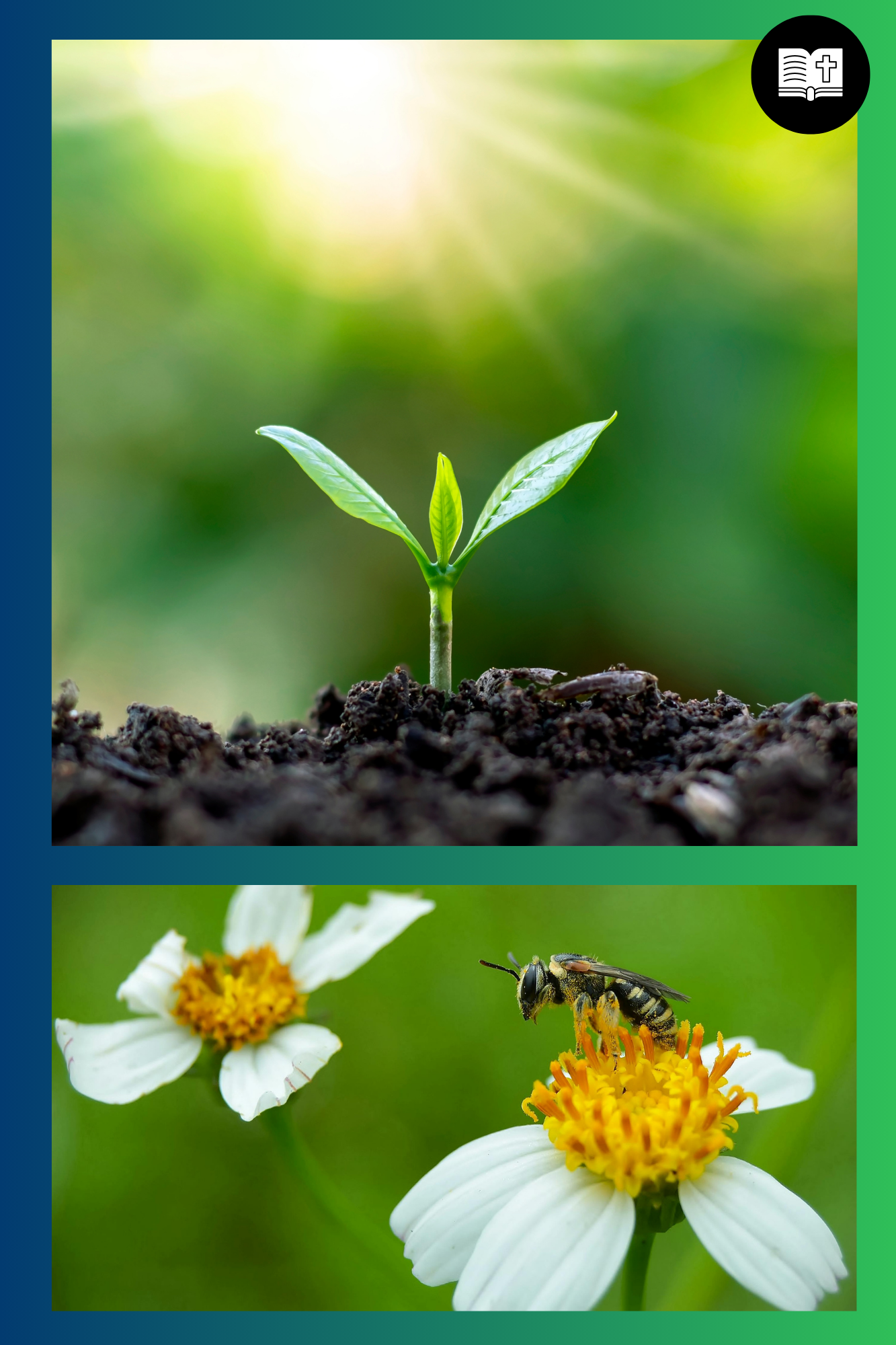 BIOL 240 Ecology