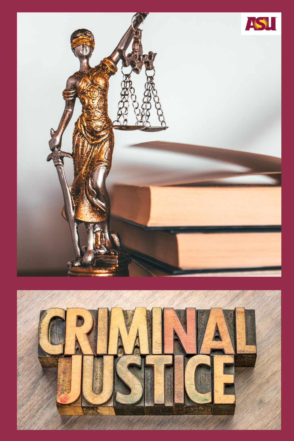 CRJ 100 Introduction to Criminal Justice
