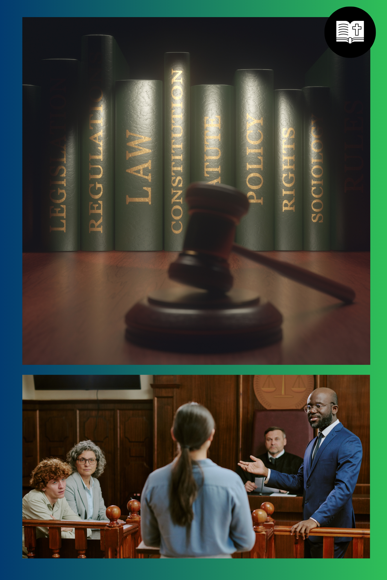 PARA 240 Investigation in Litigation