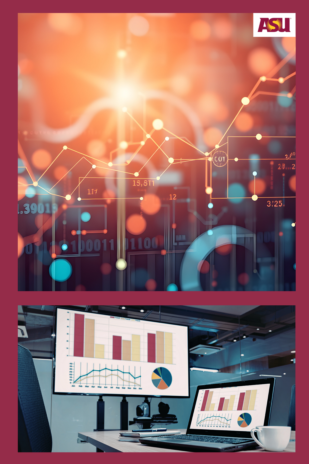 CIS 310 Business Data Visualization