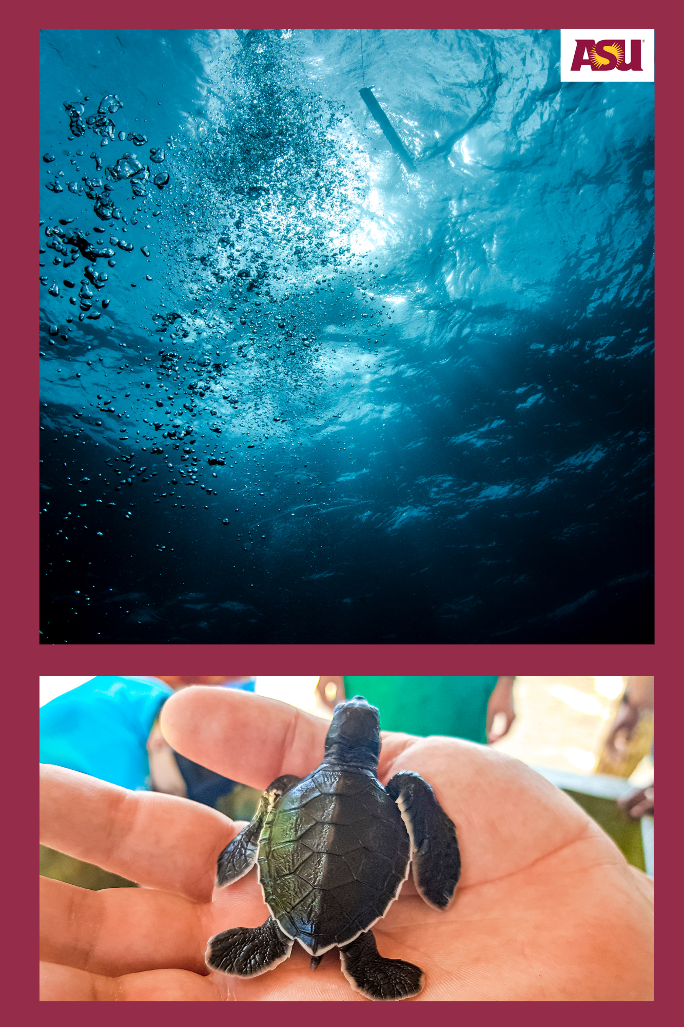 SEA 201 Ocean Conservation