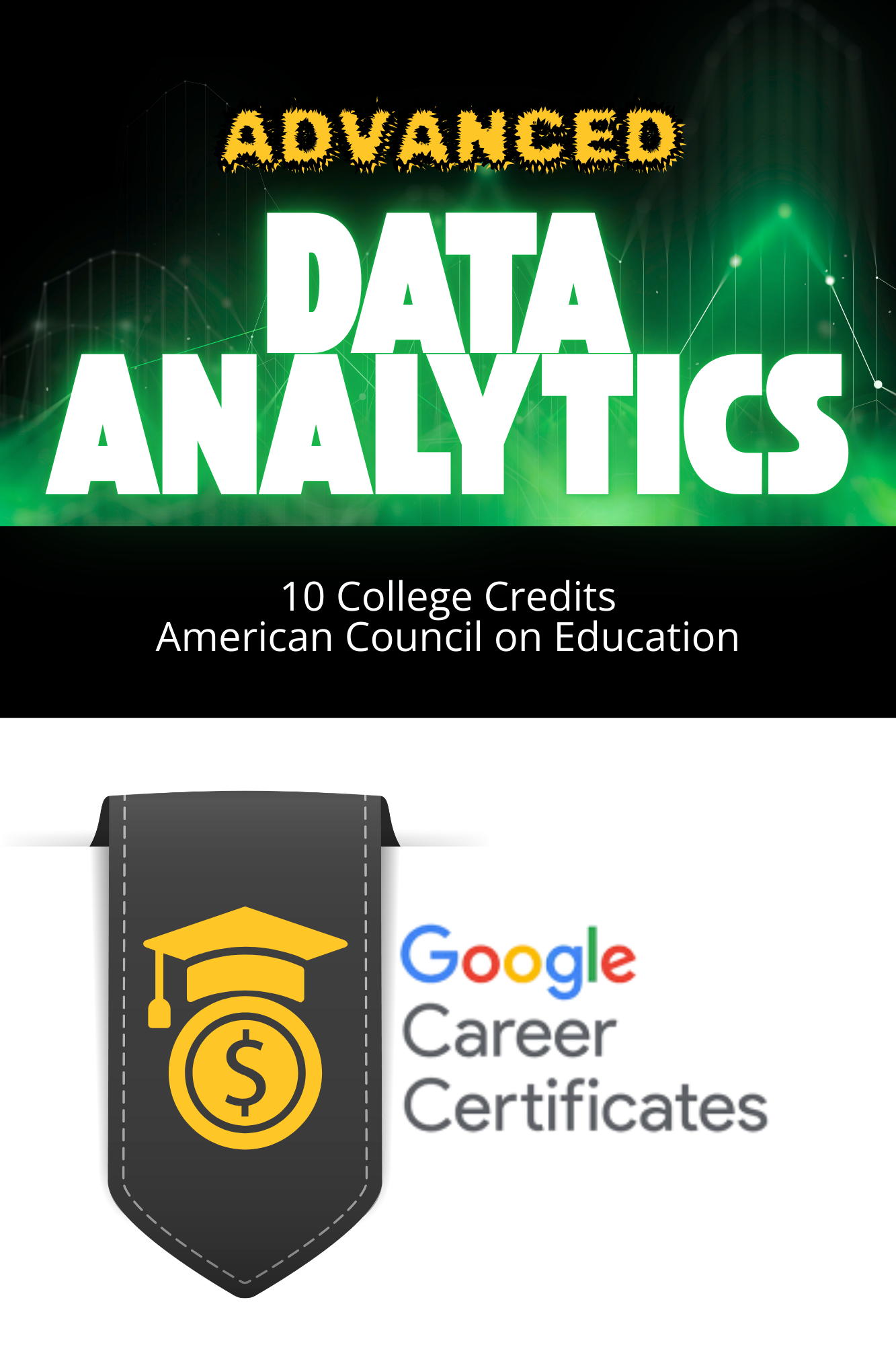 DATA 299 Advanced Data Analytics (Google)