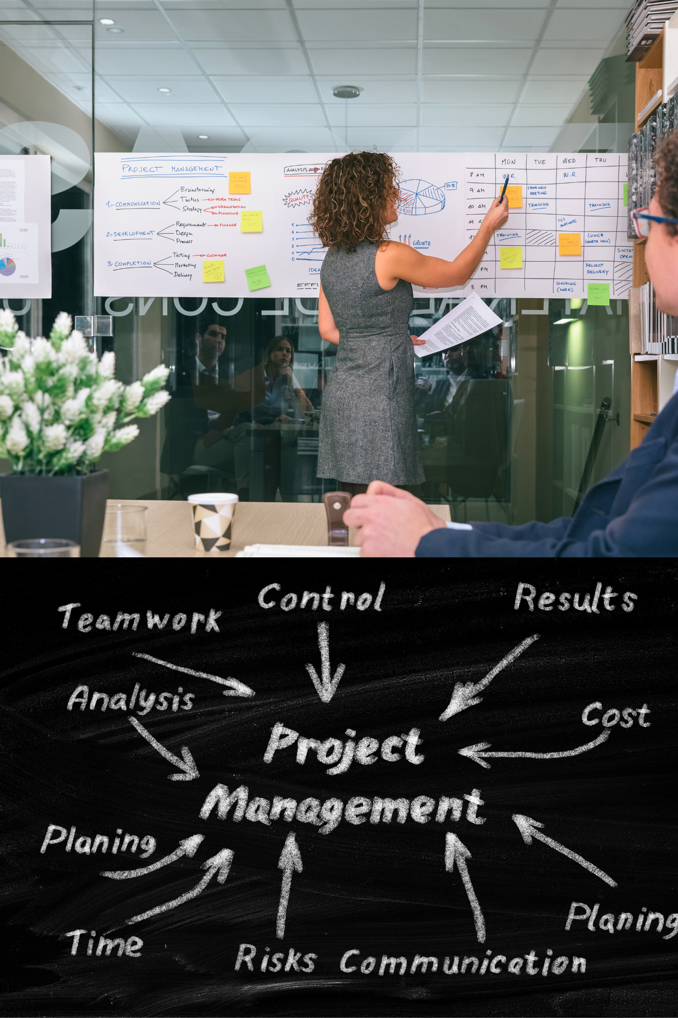 PMG 199 Project Management (Google)