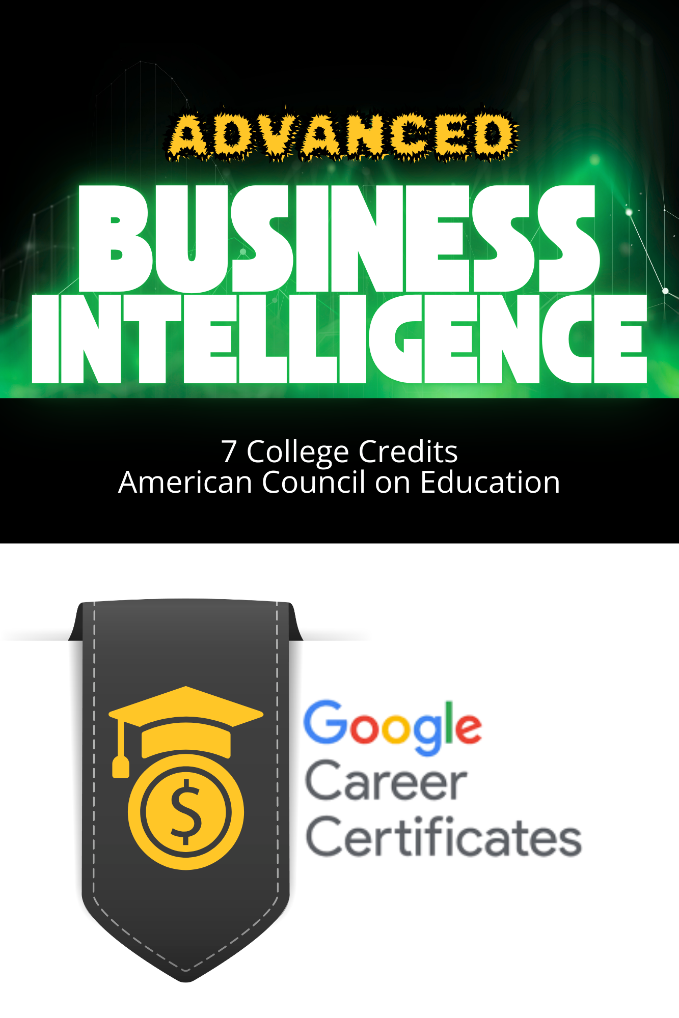 DATA 201 Data Business Intelligence (Google)